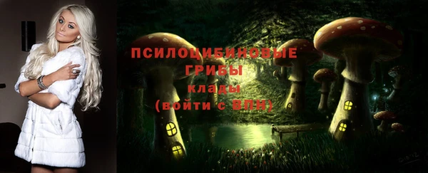 гидропоника Нягань