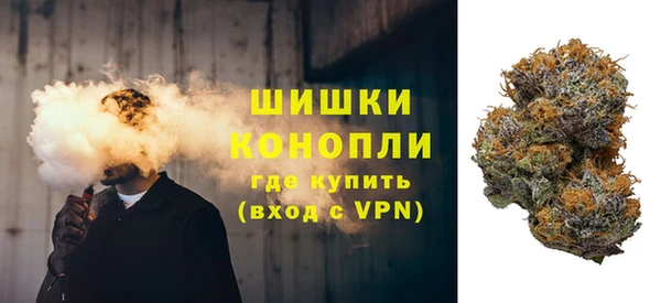 хмурый Няндома