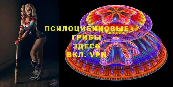гидропоника Нягань