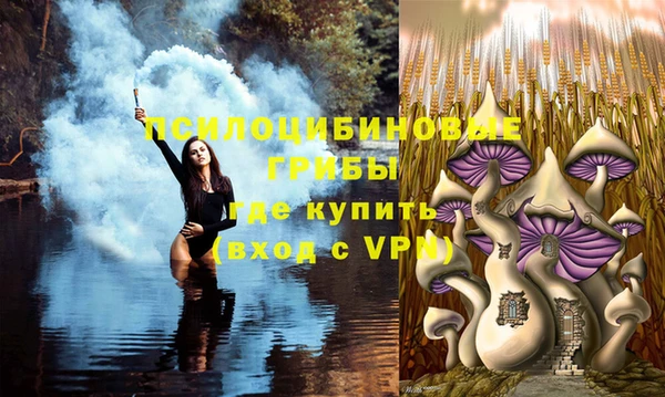 прущая мука Абдулино