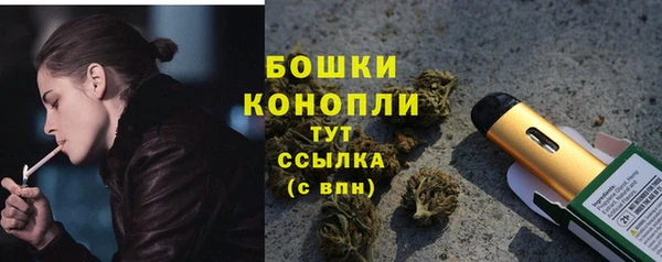 хмурый Няндома