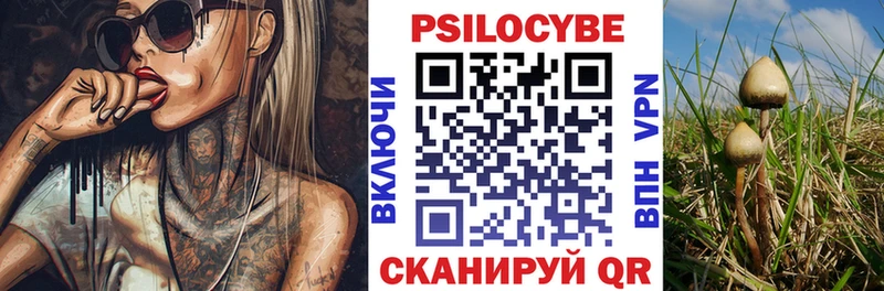 Галлюциногенные грибы Psilocybine cubensis  цены   hydra tor  Гусиноозёрск 